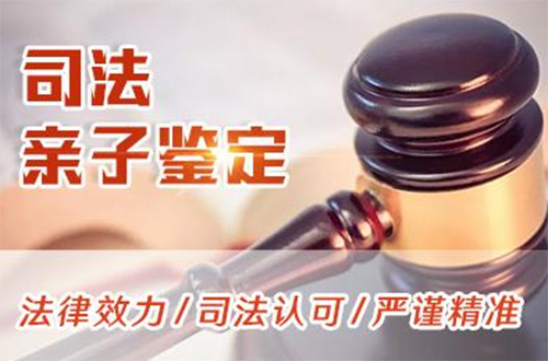 黑龙江司法DNA鉴定流程,司法亲子鉴定采集什么样本