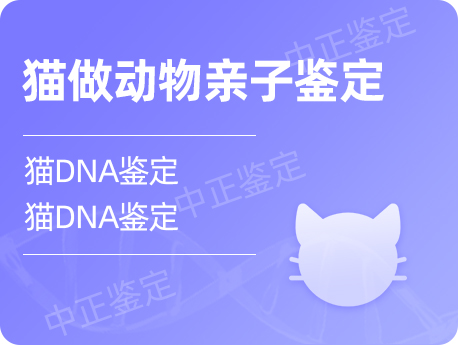 黑龙江猫做动物亲子鉴定